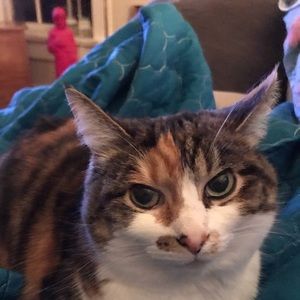 Meet your Posher, Amanda